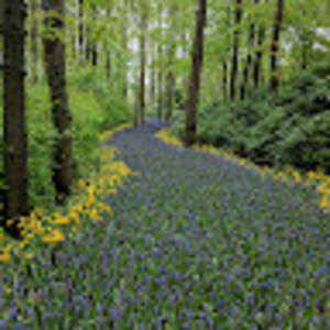 Meet your Posher, Dally